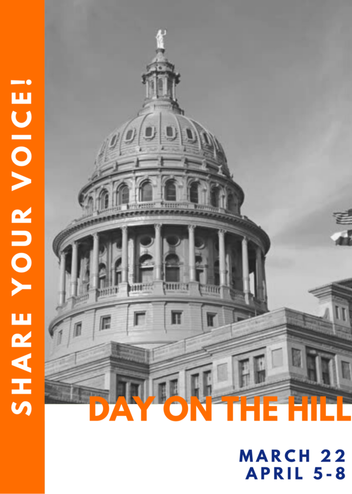 Virtual Day on the Hill NCJW Greater Dallas Section